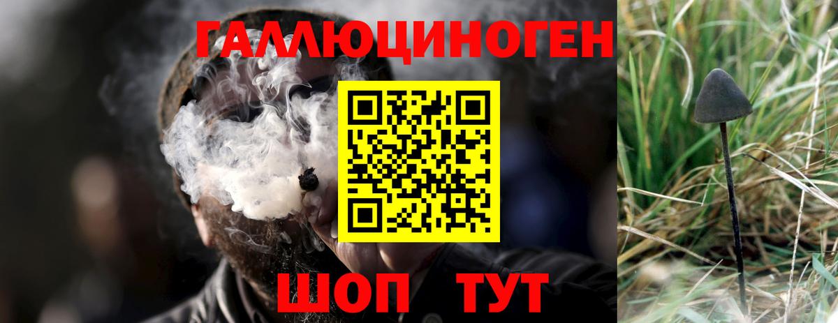 Галлюциногенные грибы мицелий Королёв