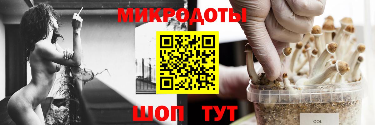 Королёв  Галлюциногенные грибы Magic Shrooms  Вход с VPN 